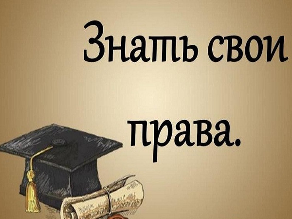 Запустили чат-бот по вопросам алиментов.