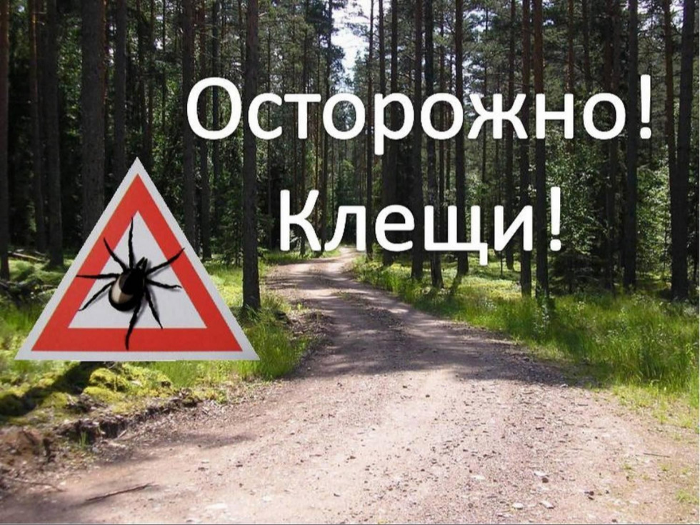 Осторожно – клещи! Памятка для детей и взрослых.