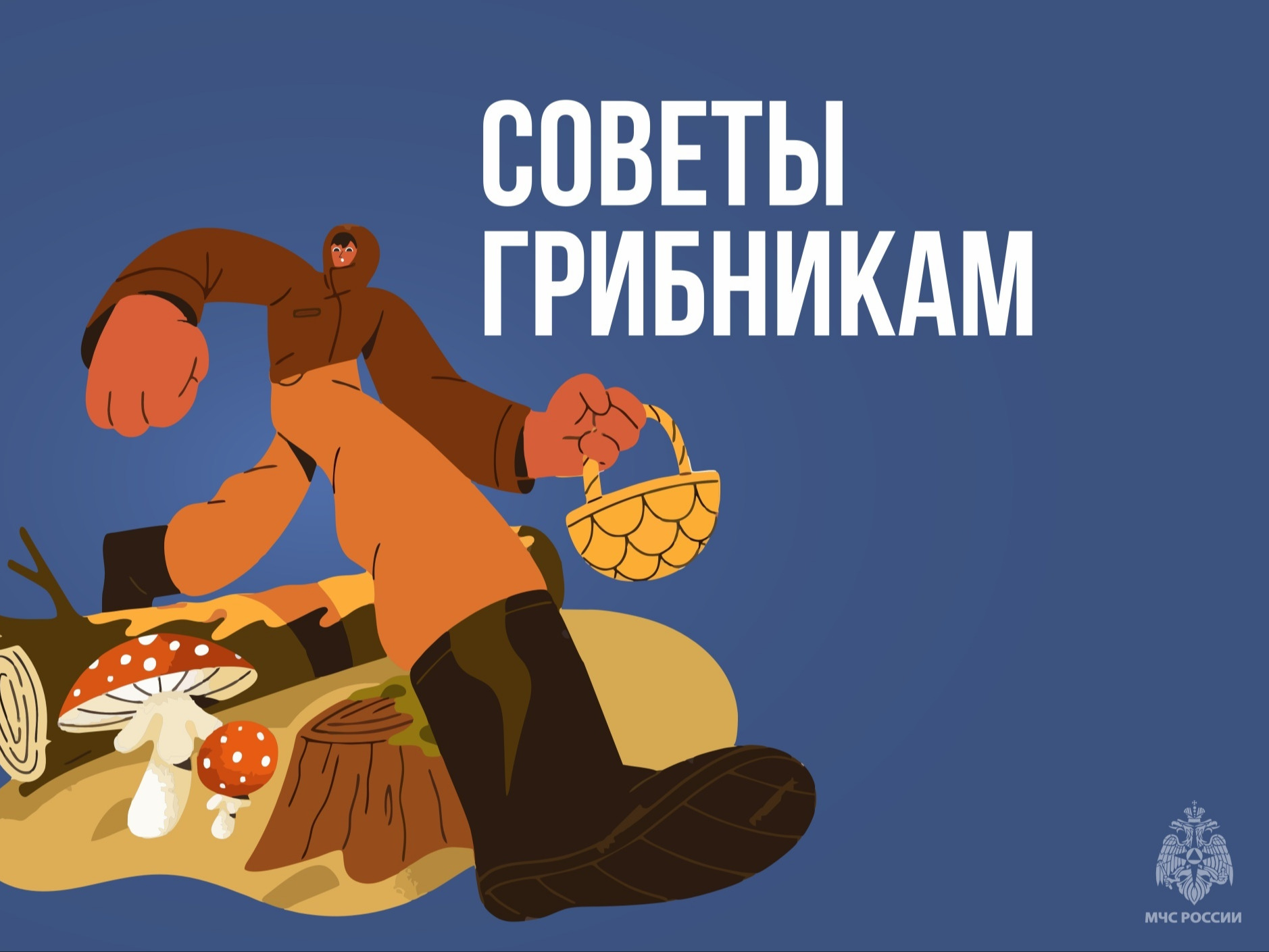 Советы грибникам.