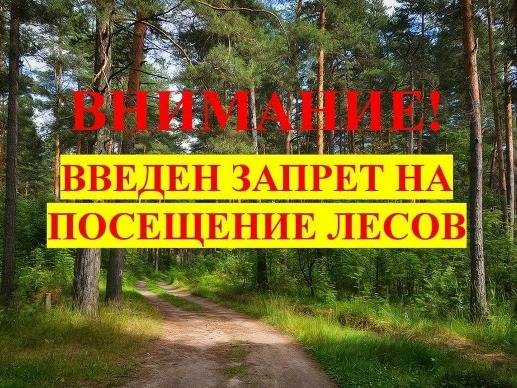 В Красноярском крае продолжает действовать особый противопожарный  режим.