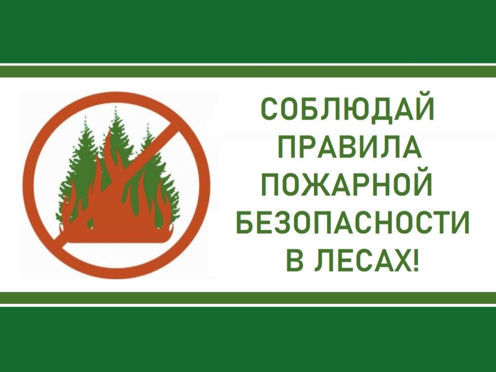 Пожарная безопасность в лесу.