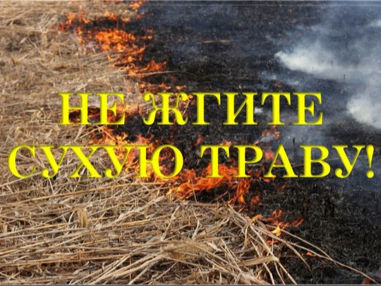 Не жгите сухую траву!.