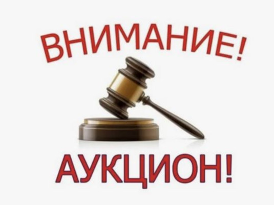Извещение о проведении открытого аукциона в электронной форме на право заключения договора аренды земельного участка, находящегося в государственной собственности с кадастровым номером 24:45:0115005:13.