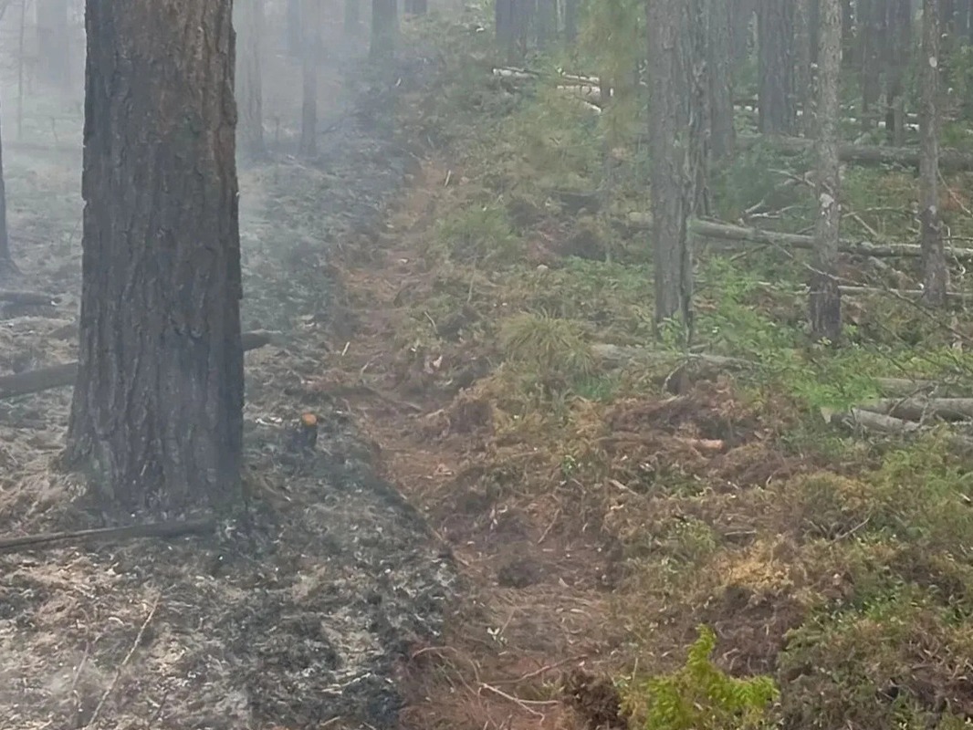На севере края продолжается борьба с лесными пожарами.