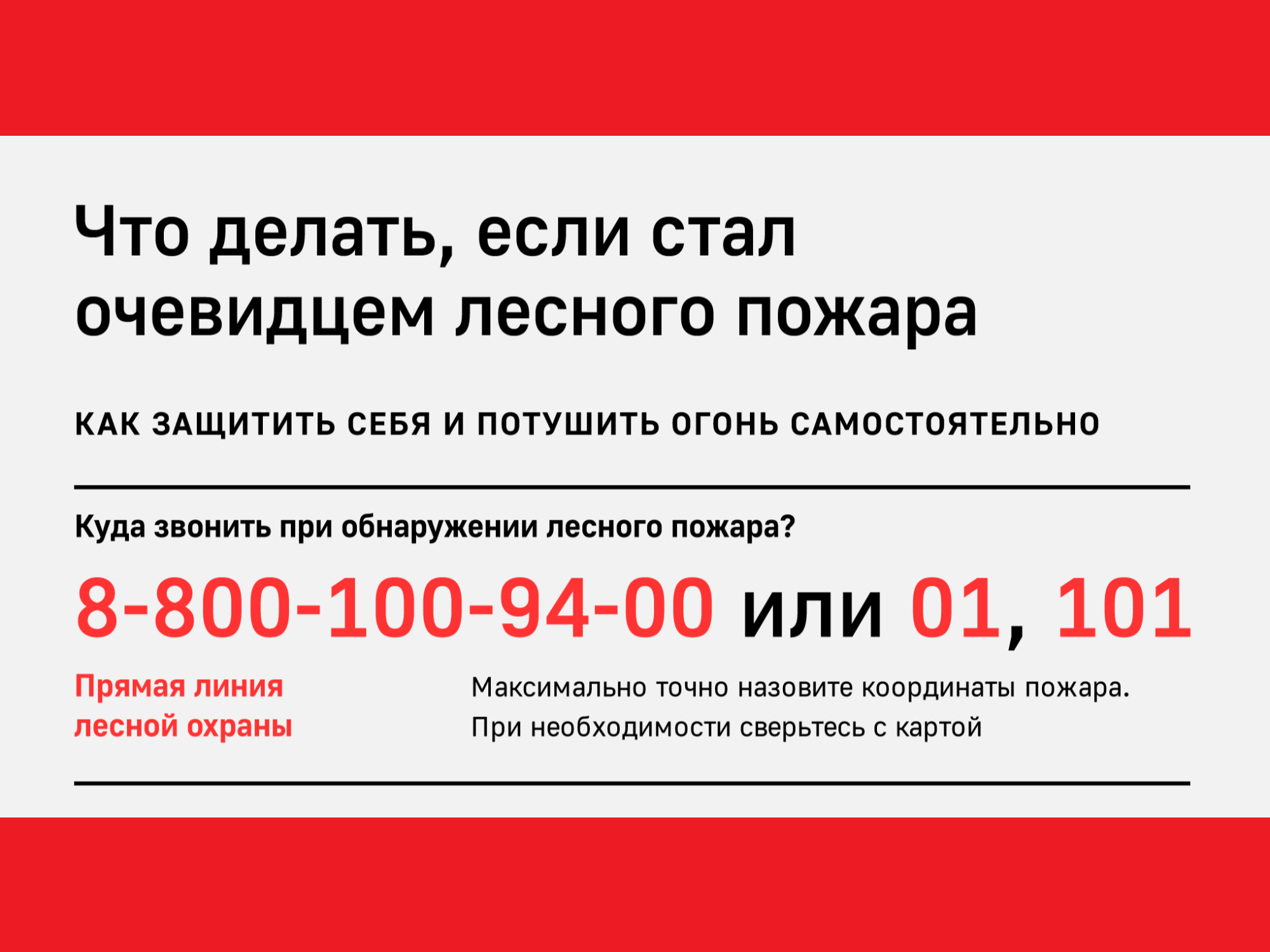 что делать, если стал очевидцем лесного пожара.