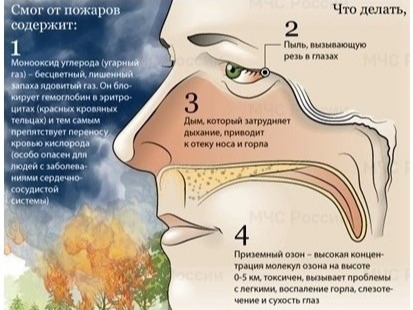 Как защититься от смога и задымления при лесных пожарах.