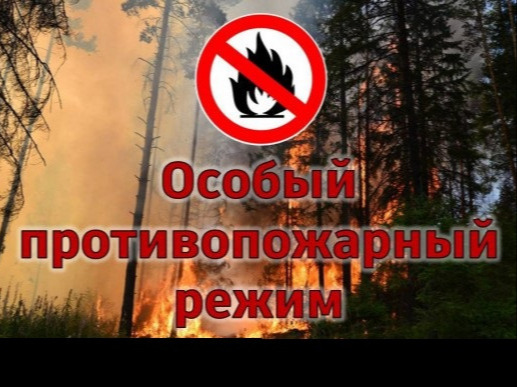 О введении особого противопожарного режима на территории отдельных муниципальных образований Красноярского края.