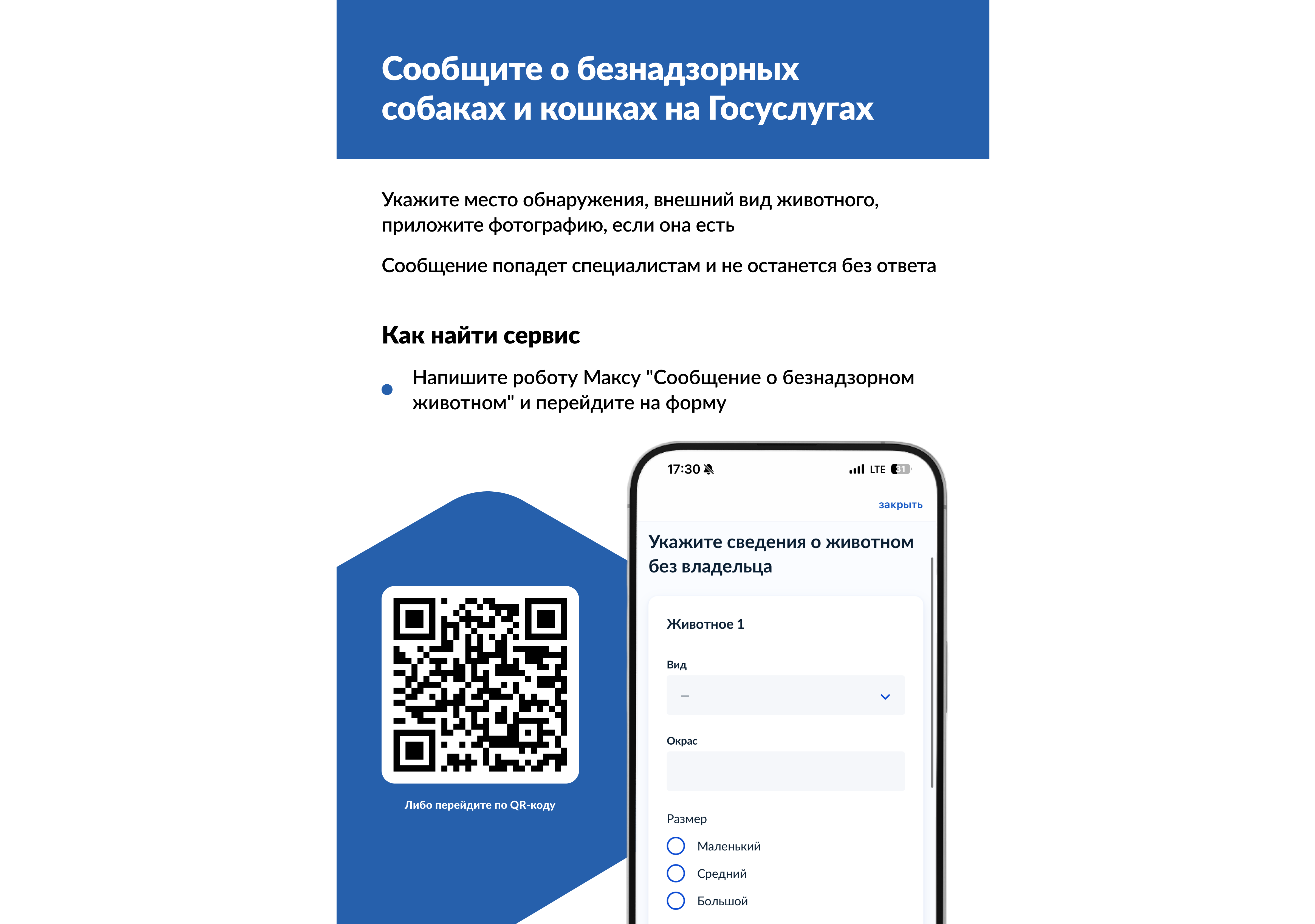 На портале «Госуслуги» можно уведомить о безнадзорном животном.