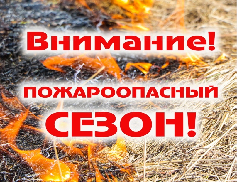 Об определении пожароопасного сезона 2026 года в лесах Красноярского края.