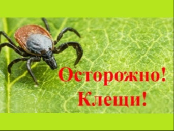 Осторожно – клещи! Памятка для детей и взрослых.