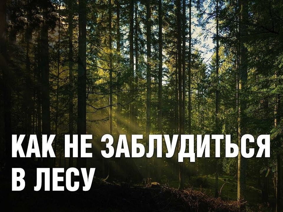 Памятка, отправляющимся в лес..