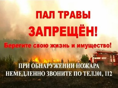 За выжигание сухой травы предусмотрен штраф.