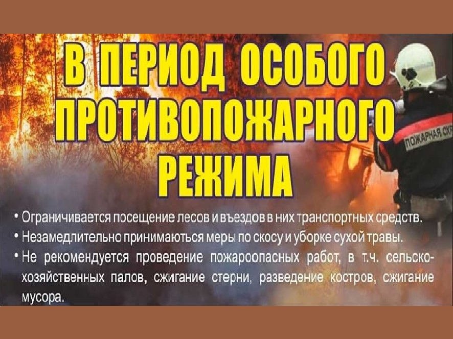 Режим ЧС в лесах  и особый противопожарный режим все еще действуют в Красноярском крае.